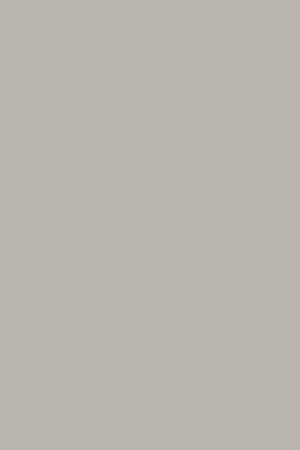 Dark Dove Grey Eggshell