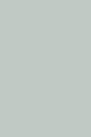 Pale Grey Green Eggshell